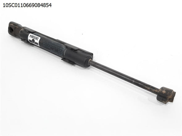 בולם מכסה מנוע ימין לב.מ.וו. סדרה 3 2012-2019