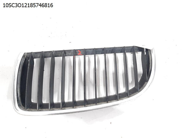 סורג חזית שמאל לב.מ.וו. סדרה 3 2005-2012