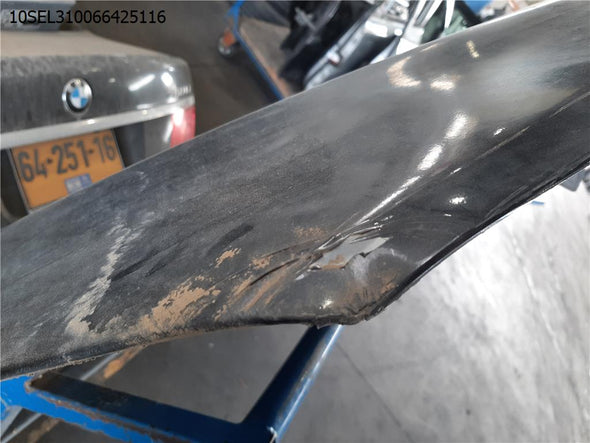 מכסה מנוע לב.מ.וו. סדרה 7 2009-2015