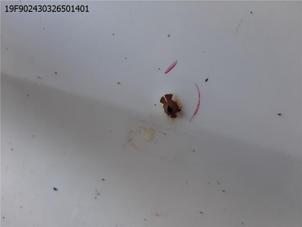 דלת אחורית שמאל לטויוטה היילנדר 2013-2020