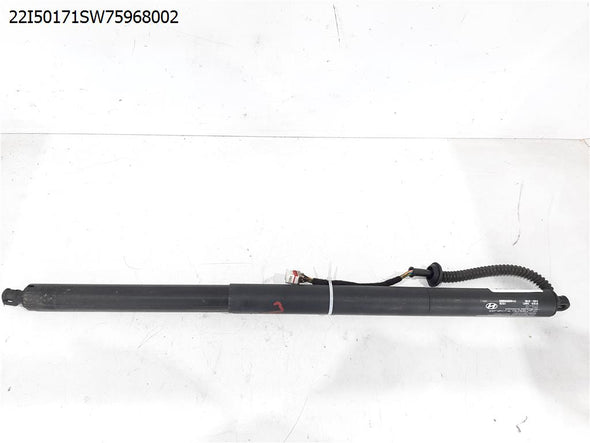 בולם דלת מטען חשמלי שמאל ליונדאי איוניק 5 2021-2024