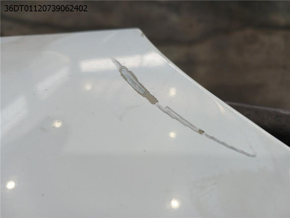 כנף קדמית ימין לסיטרואן ברלינגו 2019-2025