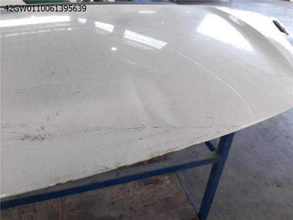 מכסה מנוע לפיאט 500L 2013-2018