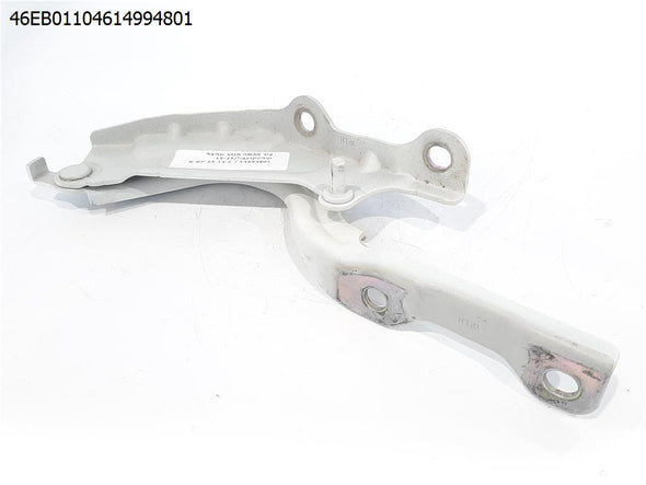 ציר מכסה מנוע שמאל לקיה קרנבל 2015-2021