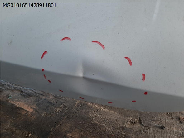 דלת מטען לאם ג'י ZS 2018-2025